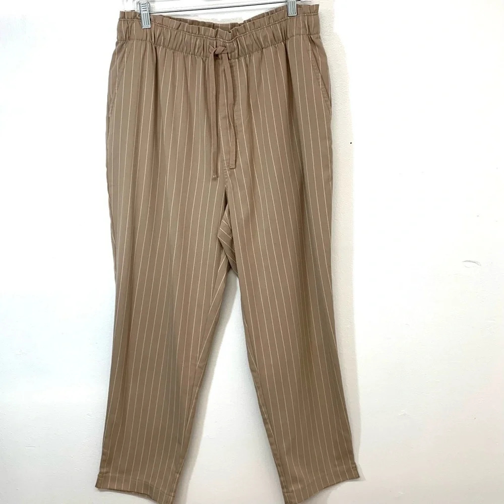 Abercrombie & Fitch  Pants Woman Large Elastic Waist Pockets Beigh Stripe Office